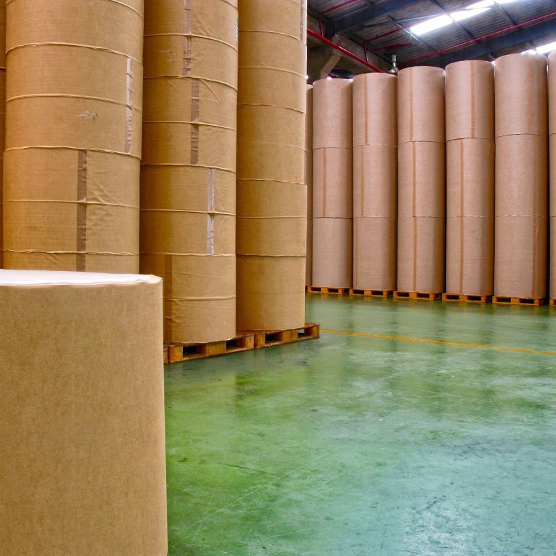 Papel e Celulose